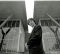 Tadao Ando.jpg